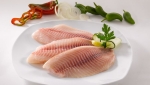Tilapia